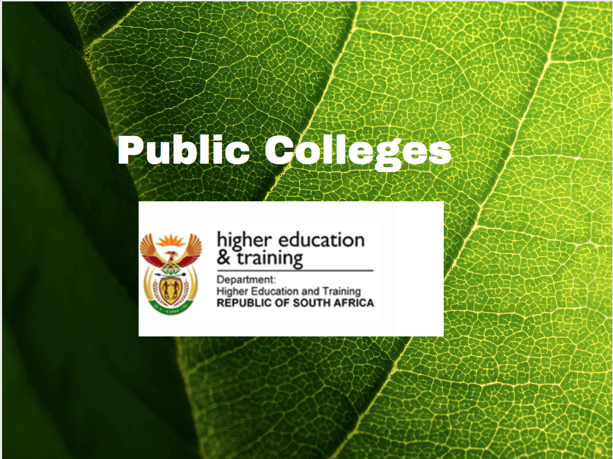 Public Colleges; College of Cape Town
